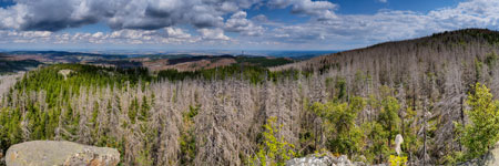 Nationalpark Harz. Mittlere Zeterklippe
