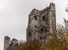 Siebengebirge. Burgruine Drachenfels