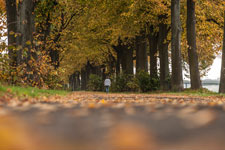 Herbst