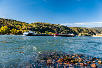 Am Rhein