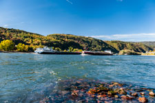 Am Rhein
