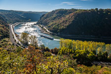 Rhein. Loreley. Betteck