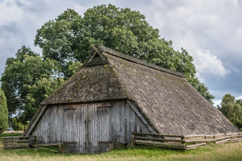 Lüneburger Heide. Reetscheune