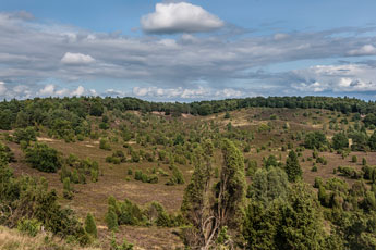 Lüneburger Heide. Totengrund
