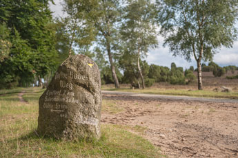 Lüneburger Heide. Ein Meilenstein