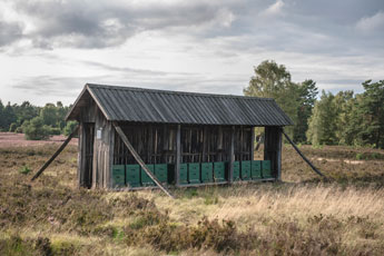 Lüneburger Heide. Bienenstand