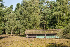 Lüneburger Heide. Bienenstand