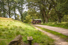 Lüneburger Heide. Touristen Kutsche