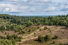 Lüneburger Heide. Totengrund