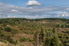 Lüneburger Heide. Totengrund