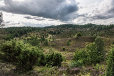 Lüneburger Heide. Totengrund