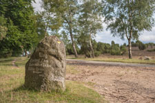 Lüneburger Heide. Ein Meilenstein