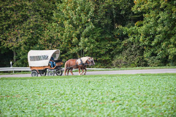 Nordschwarzwald. Gündringen. Eine Kutsche