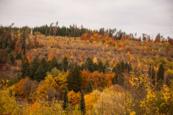 Nordschwarzwald. Gündringen. Herbst