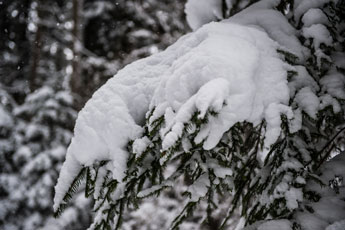 Nordschwarzwald. Gündringen. Schnee
