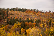 Nordschwarzwald. Gündringen. Herbst
