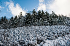 Nordschwarzwald. Gündringen. Winter
