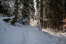 Nordschwarzwald. Gündringen. Winterpfad