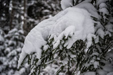 Nordschwarzwald. Gündringen. Schnee