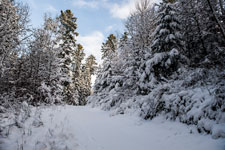 Nordschwarzwald. Gündringen. Ein Weg