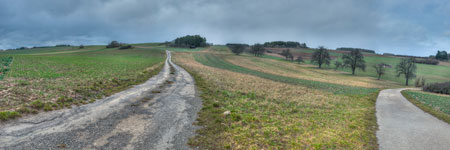 Nordschwarzwald. Gündringen. Eine Höhe