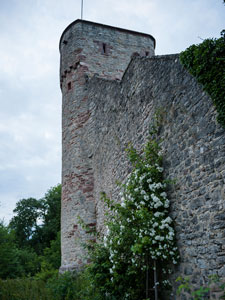 Nordschwarzwald. Burg Hohennagold