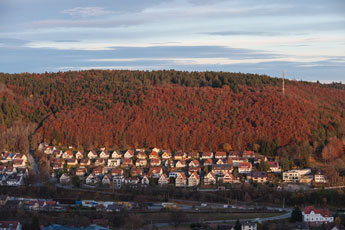Nordschwarzwald. Nagold. Wolfsberg