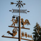 Nordschwarzwald. Nagold. Eine Spitze