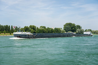 Am Rhein. Plittersdorf