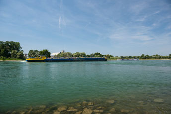 Am Rhein