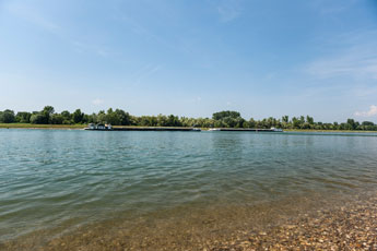 Am Rhein