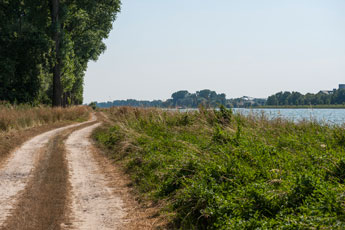 Am Rhein. Ein Weg