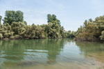 Alter Rhein. Plittersdorf