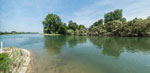 Alter Rhein. Plittersdorf