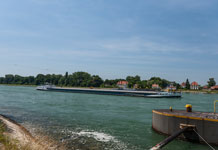 Am Rhein. Plittersdorf