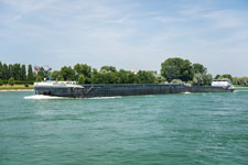 Am Rhein. Plittersdorf