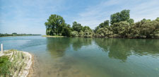 Alter Rhein. Plittersdorf