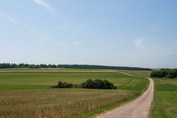 Nordschwarzwald. Schietingen. Acker