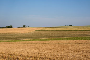 Nordschwarzwald. Schietingen. Acker