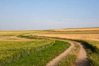 Nordschwarzwald. Schietingen. Ein Weg