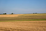 Nordschwarzwald. Schietingen. Acker
