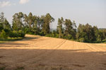 Nordschwarzwald. Schietingen. Acker
