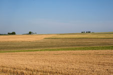 Nordschwarzwald. Schietingen. Acker