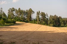 Nordschwarzwald. Schietingen. Acker