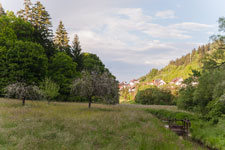 Nordschwarzwald. Steinachtahl