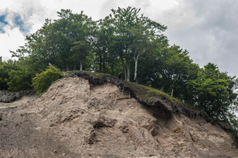 Halbinsel Jasmund. Kliffküste