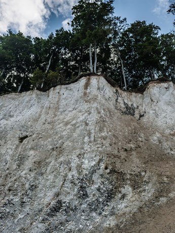 Halbinsel Jasmund. Kreidefelsen