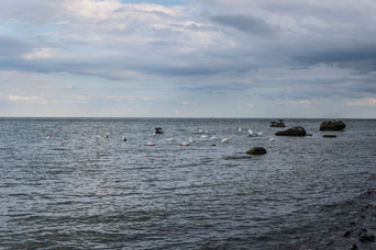 Halbinsel Jasmund. Am Strand