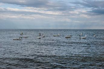 Halbinsel Jasmund. Am Strand