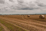 Unterwegs. Strohballen